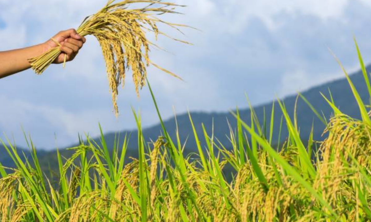 WBPSC Food SI Recruitment 2021