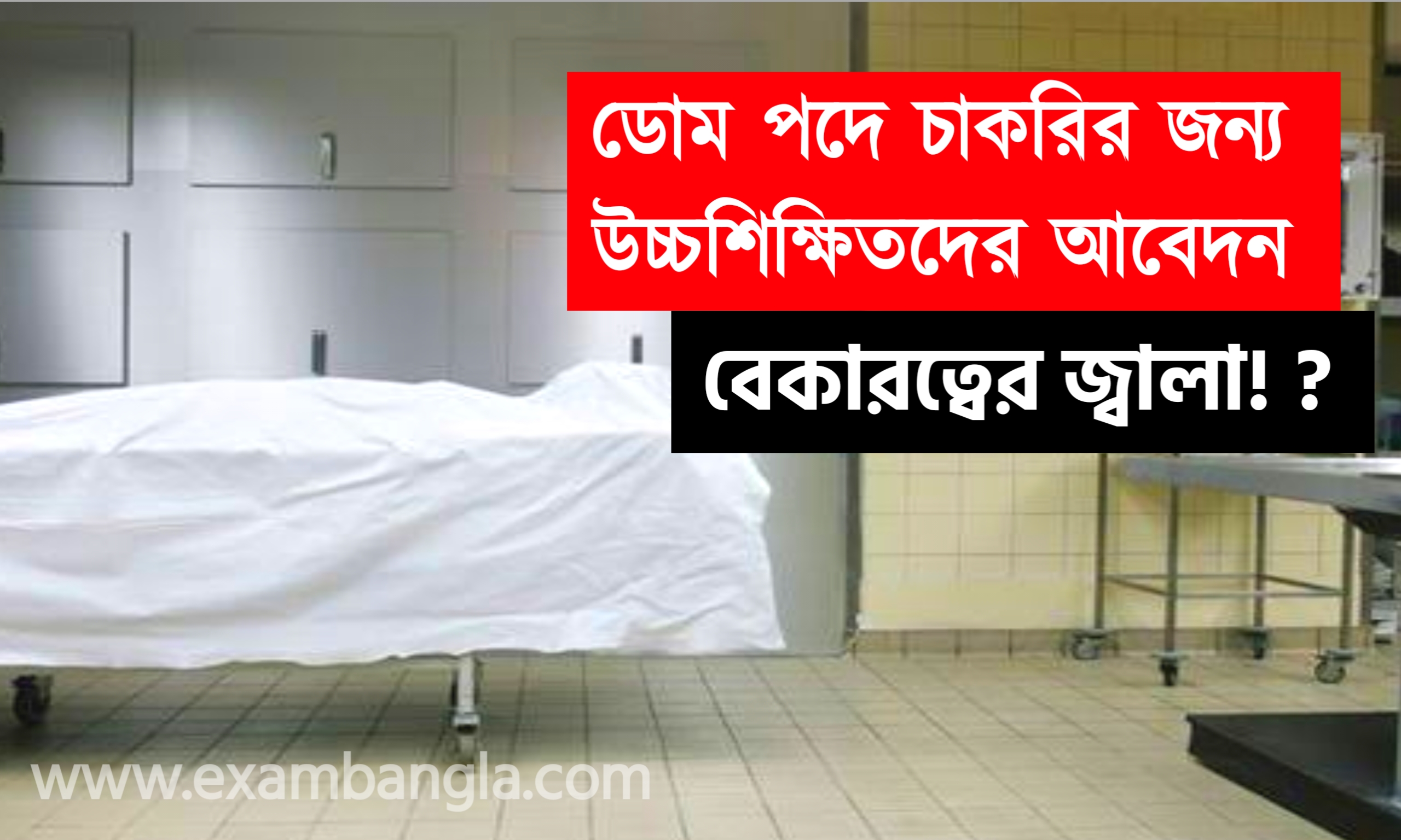 ডোমের চাকরির জন্য আবেদন পড়লো ইঞ্জিনিয়ারদের