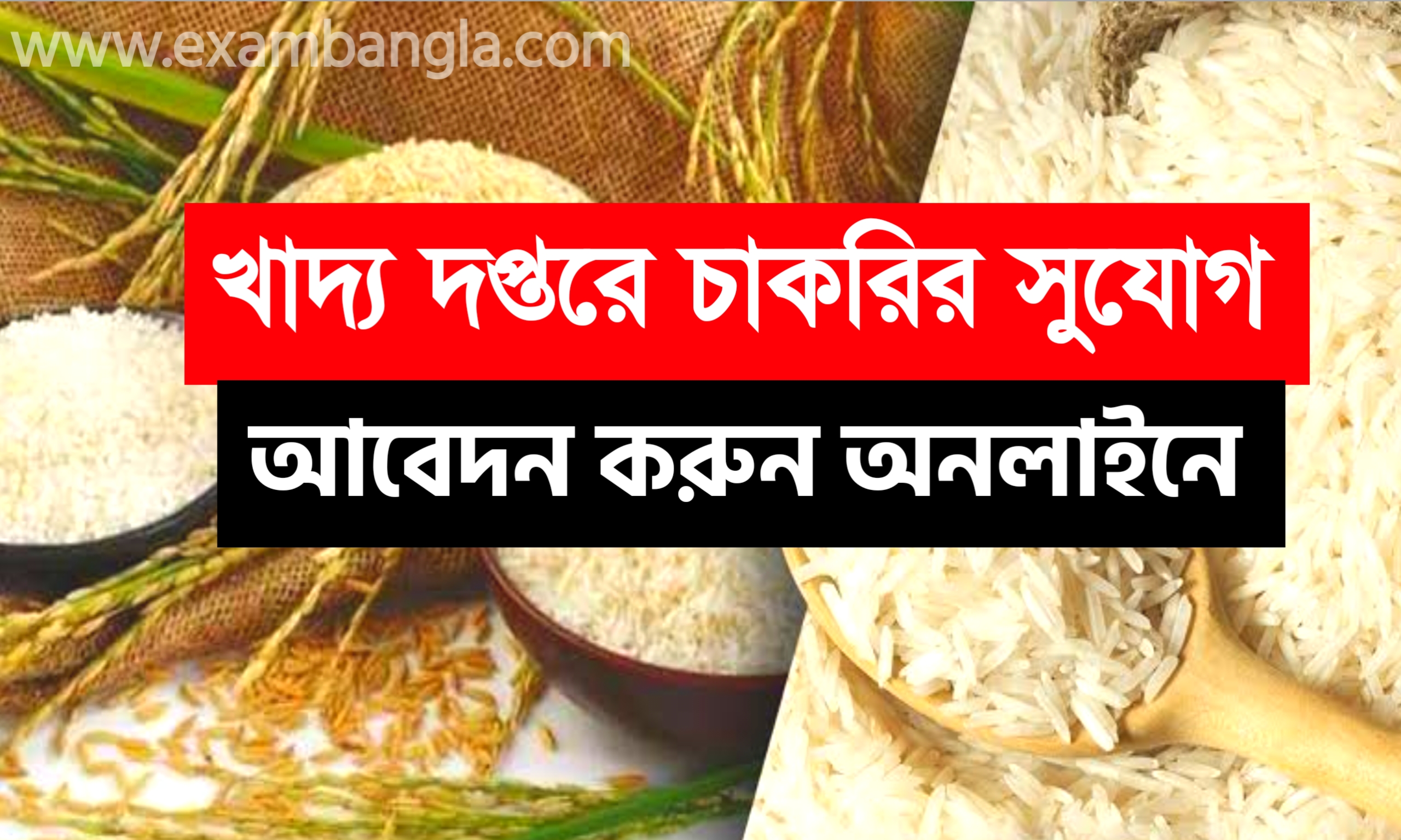 রাজ্যের খাদ্য দপ্তরে কর্মী নিয়োগ