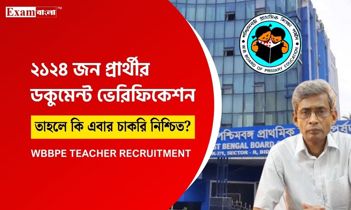 Primary Teacher Recruitment