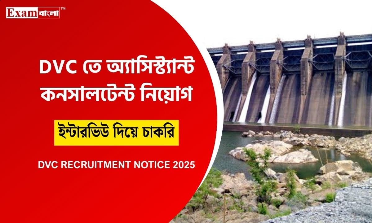 DVC Recruitment 2025