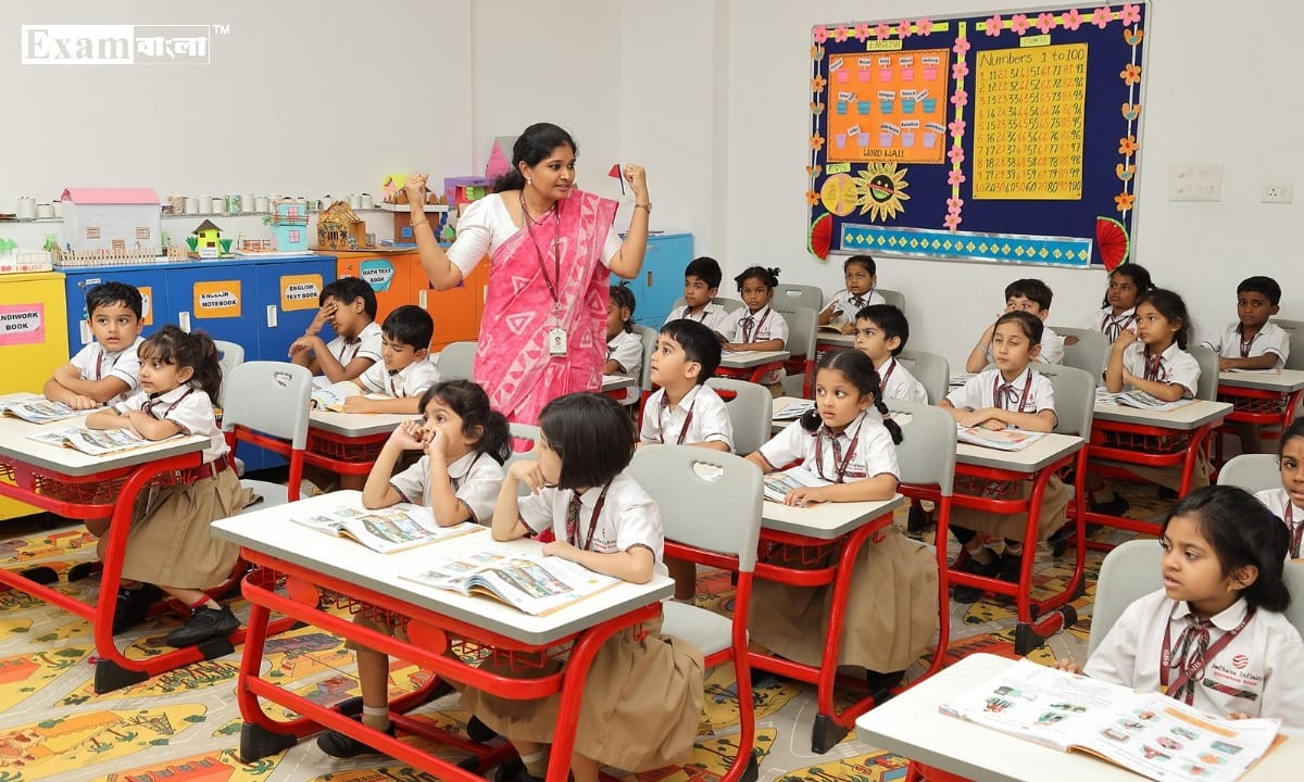 Primary Education Syllabus